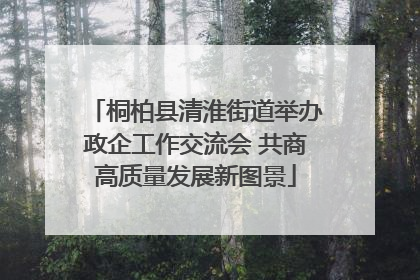 桐柏县清淮街道举办政企工作交流会 共商高质量发展新图景