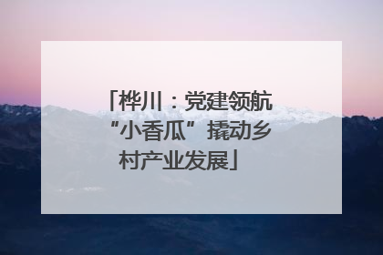 桦川：党建领航“小香瓜”撬动乡村产业发展