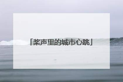 桨声里的城市心跳
