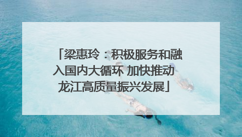 梁惠玲：积极服务和融入国内大循环 加快推动龙江高质量振兴发展