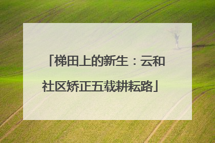 梯田上的新生：云和社区矫正五载耕耘路