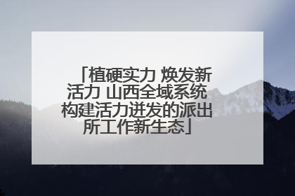 植硬实力 焕发新活力 山西全域系统构建活力迸发的派出所工作新生态
