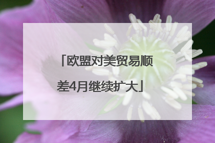 欧盟对美贸易顺差4月继续扩大