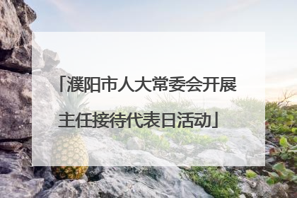 濮阳市人大常委会开展主任接待代表日活动