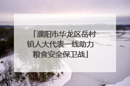 濮阳市华龙区岳村镇人大代表一线助力粮食安全保卫战