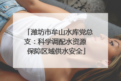 潍坊市牟山水库党总支：科学调配水资源 保障区域供水安全