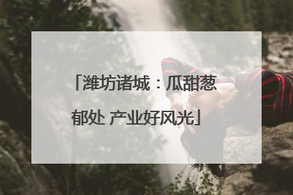 潍坊诸城：瓜甜葱郁处 产业好风光
