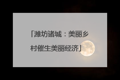 潍坊诸城：美丽乡村催生美丽经济