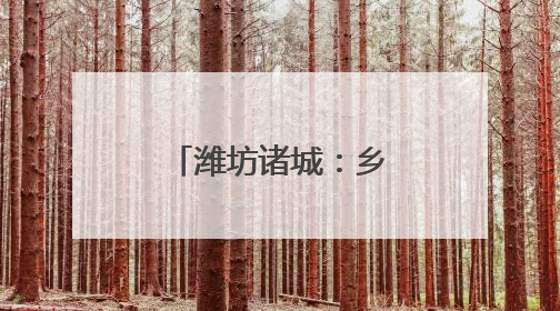 潍坊诸城:乡村富民产业 绘就共富新图景