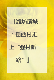 潍坊诸城：岳西村走上“强村新路”
