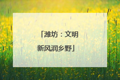 潍坊：文明新风润乡野