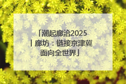潮起廊洽2025丨廊坊：链接京津冀 面向全世界