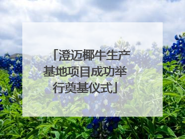 澄迈椰牛生产基地项目成功举行奠基仪式