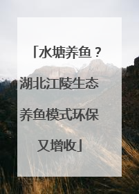 水塘养鱼？湖北江陵生态养鱼模式环保又增收