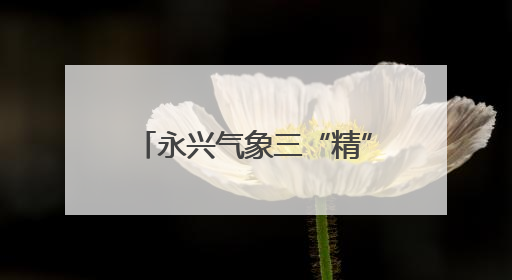 永兴气象三“精”护安澜 迎战台风“蝴蝶”显担当