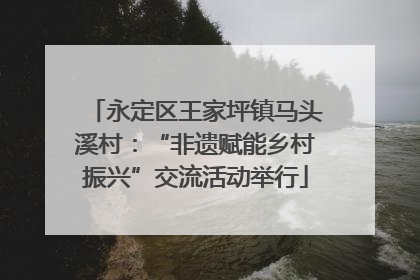 永定区王家坪镇马头溪村：“非遗赋能乡村振兴”交流活动举行
