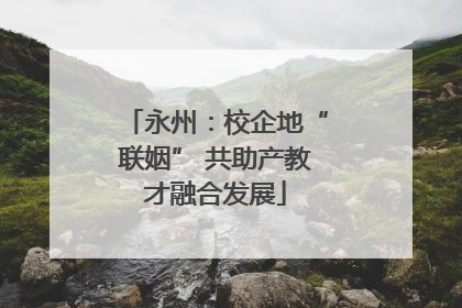 永州：校企地“联姻” 共助产教才融合发展