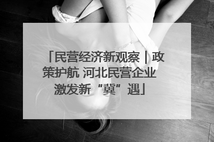民营经济新观察｜政策护航 河北民营企业激发新“冀”遇