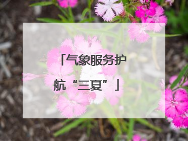 气象服务护航“三夏”