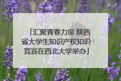 汇聚青春力量 陕西省大学生知识产权知识竞赛在西北大学举办
