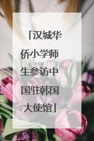 汉城华侨小学师生参访中国驻韩国大使馆