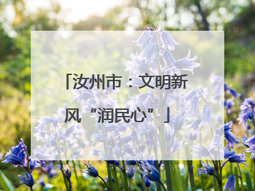 汝州市：文明新风“润民心”