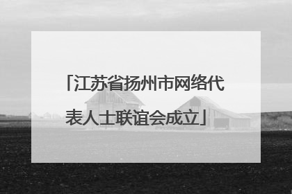 江苏省扬州市网络代表人士联谊会成立