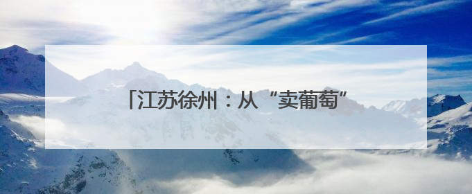 江苏徐州：从“卖葡萄”到“卖风景、卖体验”阳光玫瑰“葡”就致富路