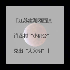 江苏建湖冈西镇肖荡村“小积分”兑出“大文明”