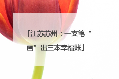 江苏苏州：一支笔“画”出三本幸福账