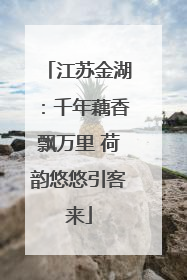 江苏金湖：千年藕香飘万里 荷韵悠悠引客来