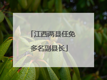 江西两县任免多名副县长