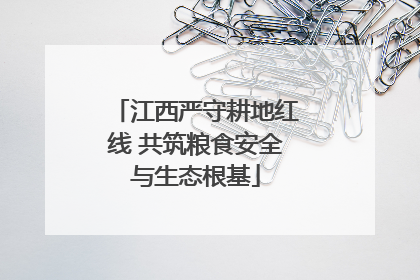 江西严守耕地红线 共筑粮食安全与生态根基