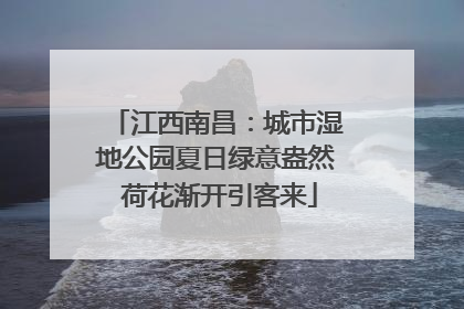江西南昌：城市湿地公园夏日绿意盎然 荷花渐开引客来