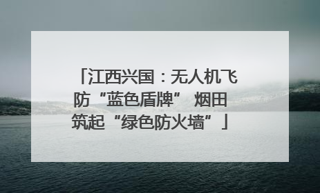江西兴国：无人机飞防“蓝色盾牌” 烟田筑起“绿色防火墙”