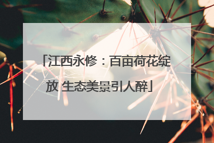 江西永修：百亩荷花绽放 生态美景引人醉