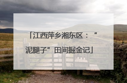 江西萍乡湘东区：“泥腿子”田间掘金记