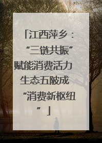 江西萍乡：“三链共振”赋能消费活力 生态五陂成“消费新枢纽”