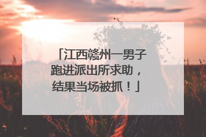 江西赣州一男子跑进派出所求助，结果当场被抓！