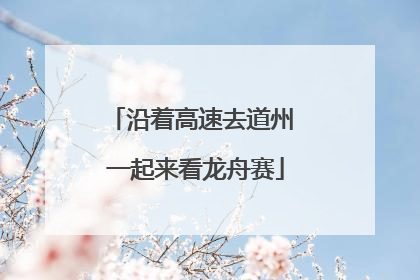 沿着高速去道州 一起来看龙舟赛