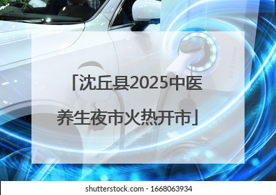 沈丘县2025中医养生夜市火热开市