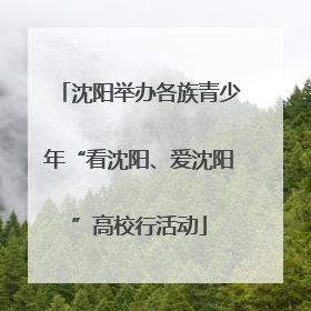 沈阳举办各族青少年“看沈阳、爱沈阳”高校行活动