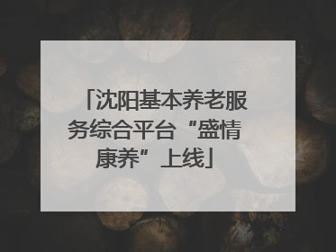 沈阳基本养老服务综合平台“盛情康养”上线