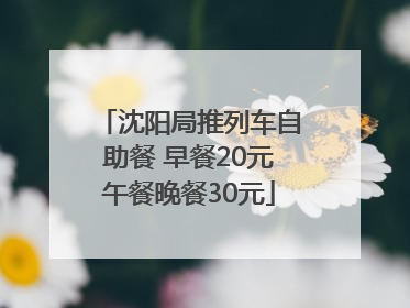 沈阳局推列车自助餐 早餐20元午餐晚餐30元