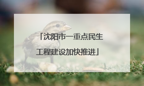 沈阳市一重点民生工程建设加快推进