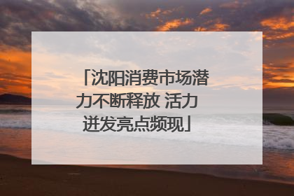 沈阳消费市场潜力不断释放 活力迸发亮点频现