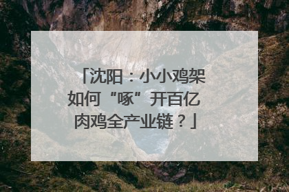 沈阳：小小鸡架如何“啄”开百亿肉鸡全产业链？