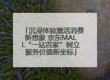沉浸体验激活消费新想象 京东MALL“一站置家”树立服务价值新坐标