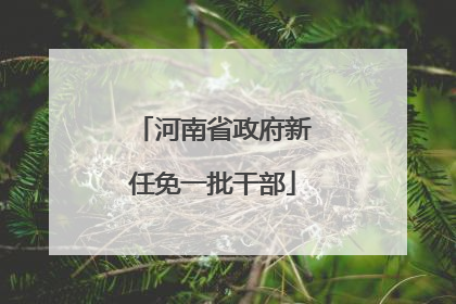 河南省政府新任免一批干部