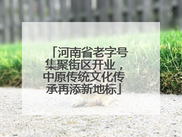 河南省老字号集聚街区开业，中原传统文化传承再添新地标